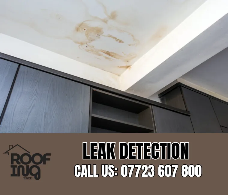 Roof Leak Detection in Mousehole