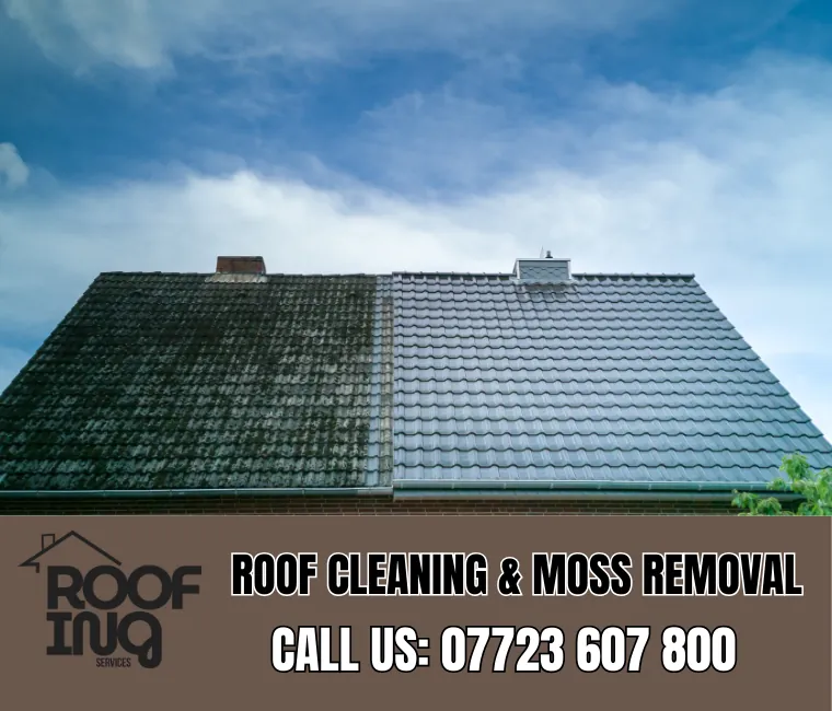 Roof Cleaning in Mousehole